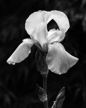 Stacks Image 850